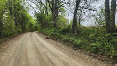 Lake Acreage For Sale in Story, Arkansas