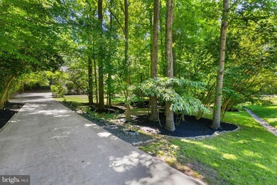 POTENTIAL 1ST FLOOR BEDROOM. Beautifully RENOVATED home - photo 37