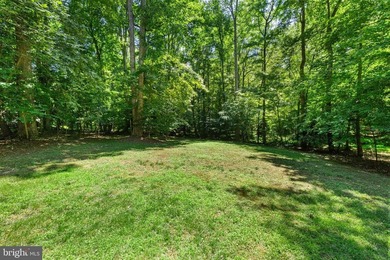 POTENTIAL 1ST FLOOR BEDROOM. Beautifully RENOVATED home - photo 39