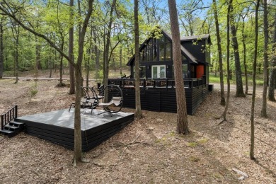 Lakeside Serenity at Lake Cypress Springs!

Discover your - photo 3