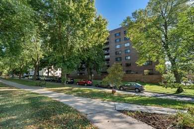 Enjoy an exceptional Minneapolis location in the heart of the - photo 45