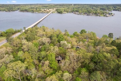 Lakeside Serenity at Lake Cypress Springs!

Discover your - photo 8