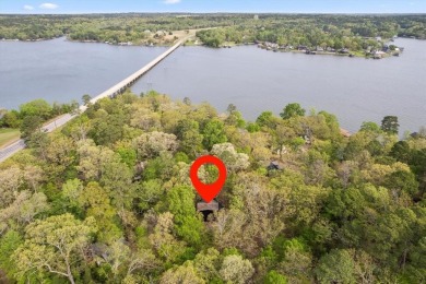 Lakeside Serenity at Lake Cypress Springs!

Discover your - photo 9