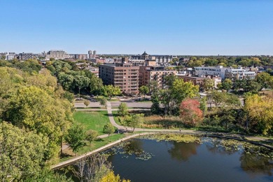 Enjoy an exceptional Minneapolis location in the heart of the - photo 49