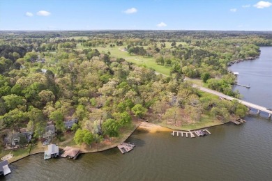 Lakeside Serenity at Lake Cypress Springs!

Discover your - photo 10