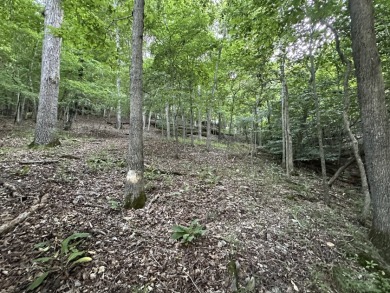 5.77 acres on Beaver Lakefrontage - photo 3