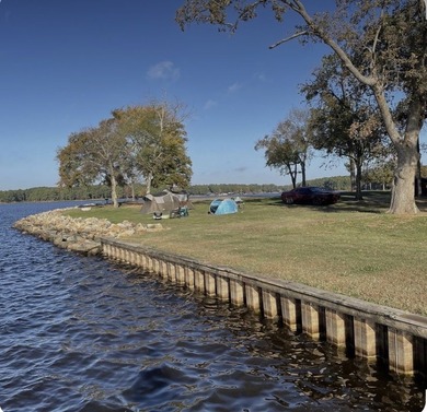 Quarter-Acre Double Lot 163 & 164, Near Lake Fork - $34,500! - photo 4