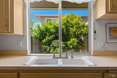 Rare 3 Bedroom, 1.5 Bath Opportunity in San Rafael Manor! Larger - photo 11