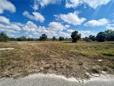 (private lake, pond, creek) Lot For Sale in Placida Florida