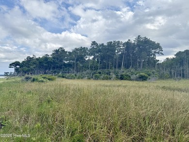 Build your Coastal Dream Home on 3.36 Acres with soil evaluation - photo 11