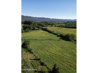 Lake Acreage For Sale in Speedwell, Tennessee