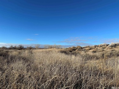 Lake Lahontan Lot For Sale in Silver Springs Nevada