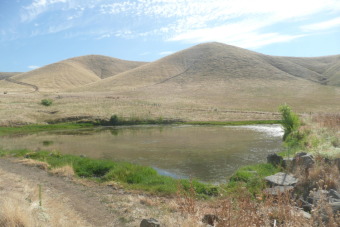 (private lake, pond, creek) Acreage Sale Pending in Lindsay California