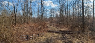 (private lake, pond, creek) Acreage For Sale in Warren Ohio