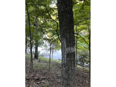 5.77 acres on Beaver Lakefrontage - photo 12