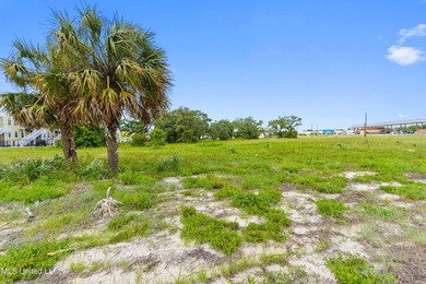 Unlock the potential of 3.9 acres of prime commercial land in - photo 9