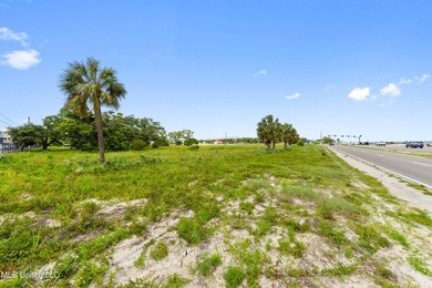 Unlock the potential of 3.9 acres of prime commercial land in - photo 10