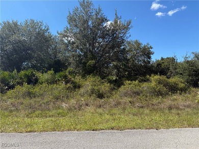 Lehigh Acres Area Lot For Sale in Lehigh Acres Florida