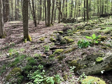 Have your own *slice* of Upstate New York with this affordable - photo 11