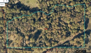 (private lake, pond, creek) Acreage For Sale in Emory Texas