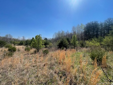 30.44 Acres in Vonore - Rare In-Town Acreage Near Tellico Lake & - photo 11