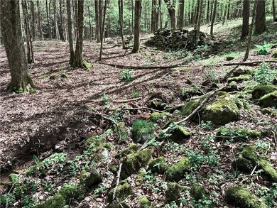 Have your own *slice* of Upstate New York with this affordable - photo 12