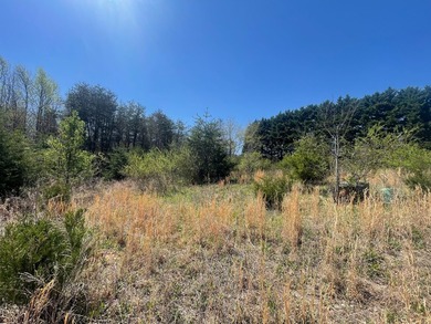 30.44 Acres in Vonore - Rare In-Town Acreage Near Tellico Lake & - photo 12
