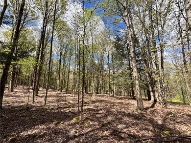 Have your own *slice* of Upstate New York with this affordable - photo 13