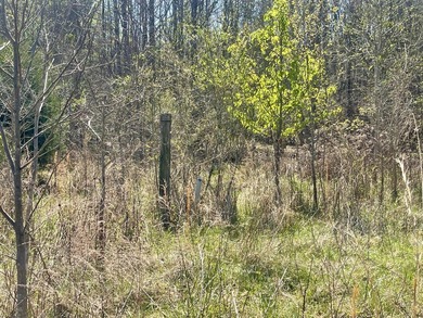 30.44 Acres in Vonore - Rare In-Town Acreage Near Tellico Lake & - photo 13