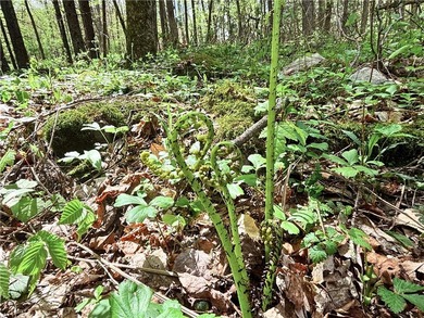 Have your own *slice* of Upstate New York with this affordable - photo 14