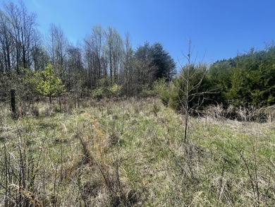 30.44 Acres in Vonore - Rare In-Town Acreage Near Tellico Lake & - photo 14