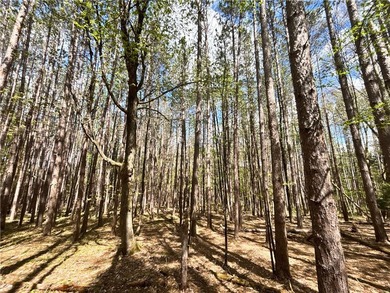 Have your own *slice* of Upstate New York with this affordable - photo 15