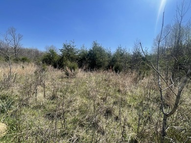 30.44 Acres in Vonore - Rare In-Town Acreage Near Tellico Lake & - photo 15