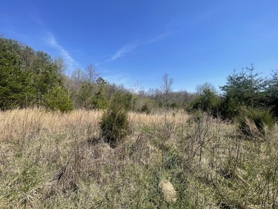 30.44 Acres in Vonore - Rare In-Town Acreage Near Tellico Lake & - photo 16