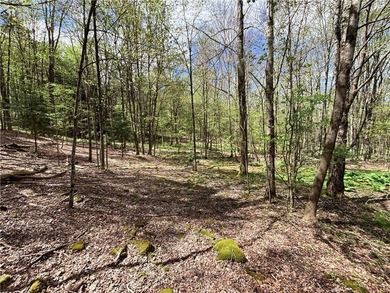 Have your own *slice* of Upstate New York with this affordable - photo 17