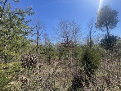 30.44 Acres in Vonore - Rare In-Town Acreage Near Tellico Lake & - photo 17