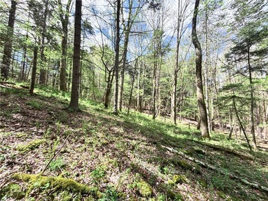 Have your own *slice* of Upstate New York with this affordable - photo 18