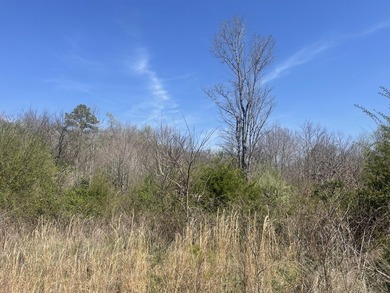 30.44 Acres in Vonore - Rare In-Town Acreage Near Tellico Lake & - photo 18