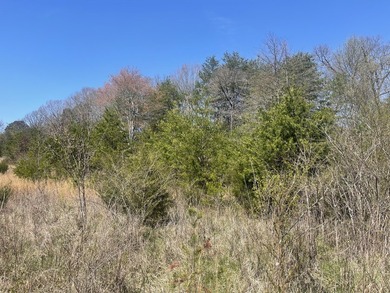 30.44 Acres in Vonore - Rare In-Town Acreage Near Tellico Lake & - photo 19