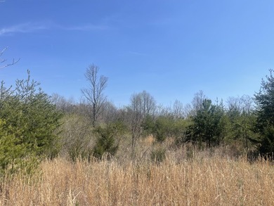 30.44 Acres in Vonore - Rare In-Town Acreage Near Tellico Lake & - photo 20