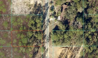 Bonable Lake Lot For Sale in Dunnellon Florida