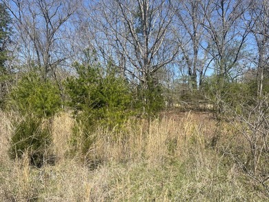 30.44 Acres in Vonore - Rare In-Town Acreage Near Tellico Lake & - photo 21