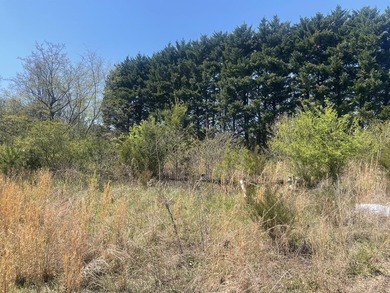 30.44 Acres in Vonore - Rare In-Town Acreage Near Tellico Lake & - photo 22