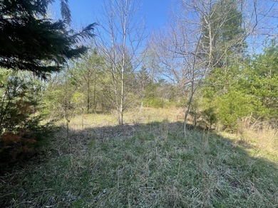 30.44 Acres in Vonore - Rare In-Town Acreage Near Tellico Lake & - photo 23