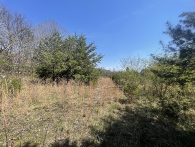 30.44 Acres in Vonore - Rare In-Town Acreage Near Tellico Lake & - photo 24