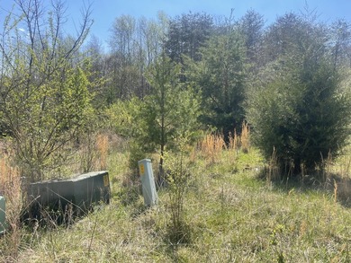 30.44 Acres in Vonore - Rare In-Town Acreage Near Tellico Lake & - photo 25