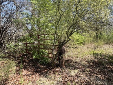 30.44 Acres in Vonore - Rare In-Town Acreage Near Tellico Lake & - photo 26