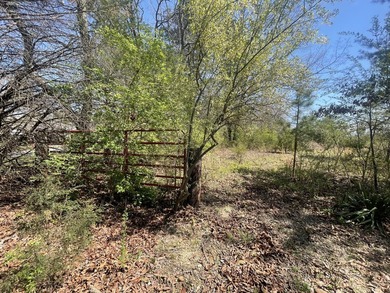 30.44 Acres in Vonore - Rare In-Town Acreage Near Tellico Lake & - photo 27