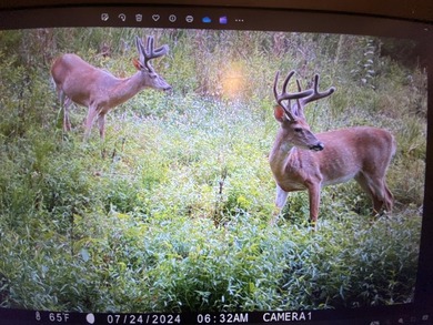 73.312 acres with Views overlooking the Ohio River! Don't miss - photo 31