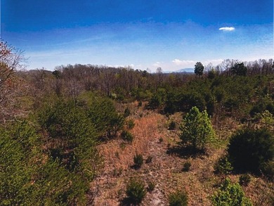 30.44 Acres in Vonore - Rare In-Town Acreage Near Tellico Lake & - photo 31